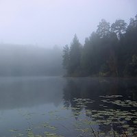 Утренний туман над озером! :: Андрей Образцов