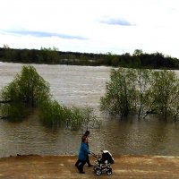 Зелёные деревья и кусты  в разлившейся реке :: Владимир Ростовский 