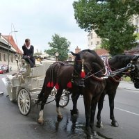 В жизни всякое бывает... Вынужденная остановка :: Вера 