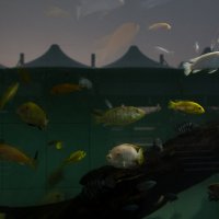 Все мы рыбы в этом иллюзорном мире 2 :: Светлана Фомина