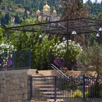 Вид на Православный Горненский женский монастырь.Иерусалим. Израиль. :: Алла Шапошникова