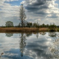 Зеркальное отражение в озере :: Милешкин Владимир Алексеевич 