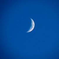 Луна :: Елена Маркова