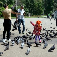 Фото с голубями :: Асылбек Айманов