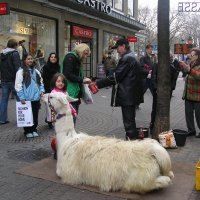 Fashion...для твоего дома. :: ВИКТОРИЯ Т