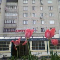 Весна в Украине! :: Миша Любчик