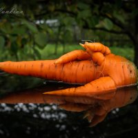 Морковь :: Tatiana 