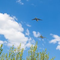 Как над нашим домом птицы пролетали :: Андрей Шаронов