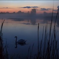 Вечер на озере :: Елена Ерошевич