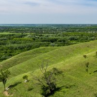 Окрестности моего города :: Игорь Сикорский