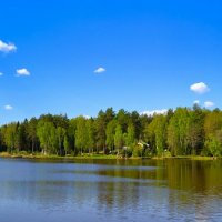 Красивый уголок природы :: Милешкин Владимир Алексеевич 