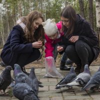 Голуби - голубки :: Виктор Коршунов