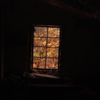 Осень за окном :: Владислав Ходий