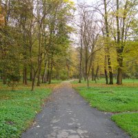 Осень  в  Ивано - Франковском  парке :: Андрей  Васильевич Коляскин