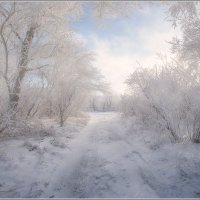 Зимние прогулки :: Сергей Литвинов