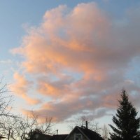 Розовые облака :: Агриппина 