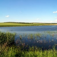 Родные просторы :: Анжелина Пилихосова