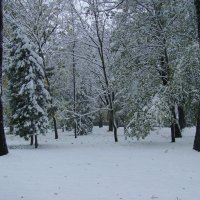 Зимняя  погода  в  Ивано - Франковске :: Андрей  Васильевич Коляскин