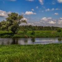 Течёт река Клязьма :: Андрей Дворников