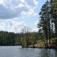 Карельский перешеек. :: Юрий Скрипченков 