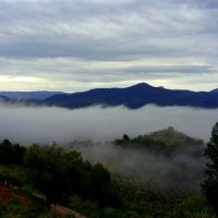 Utrennjaja mgla v doline :: Daiga Megne 