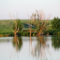Озеро :: Татьяна Лаврентьева