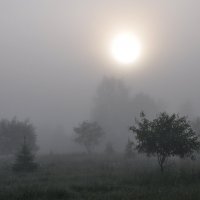 Туман, туман... :: Владимир Щеглов
