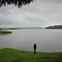 На берегу Шексны :: Валерий Талашов