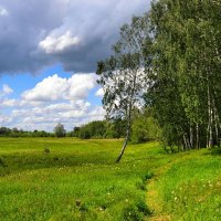 Летний пейзаж :: Милешкин Владимир Алексеевич 