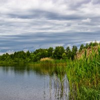 На озере :: Elena Ignatova