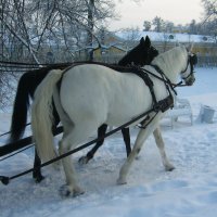 На дорожках парка  / 5 / :: Сергей 