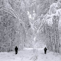 Зима была снежной :: Николай Белавин