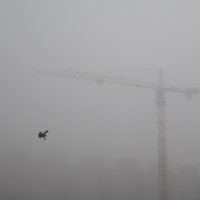 летящий в тумане :: Юрий Киреев