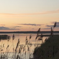 закат на Лахтинском разливе :: Марийка 