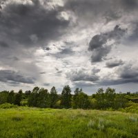 Предгрозье :: Виктор Четошников