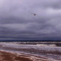 Моё Белое море... :: Елена Третьякова
