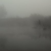 Рыбак в тумане :: Nikola 