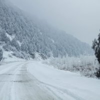 зима :: Nurga Chynybekov