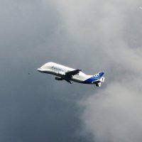 Hamburg. Airbus. BELUGA :: Nina Yudicheva