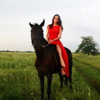 На коне :: Полина Верещагина