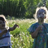 В одуванчиках :: Наталья Сорокина