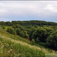 ДОРОГА  ВО ВЛАДИМИР :: Валерий Викторович РОГАНОВ-АРЫССКИЙ