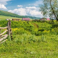 Деревенское лето :: Любовь Потеряхина