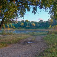 Птичка :: Бронислав Богачевский