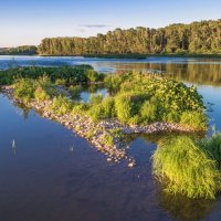 Островок :: Любовь Потеряхина