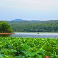 На  Кронштадтском водохранилище ! :: Татьяна Тумина