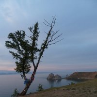 Деревья Ольхона. Шаманка поздним вечером. :: Галина Минчук