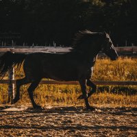 ... :: Александра Печорина