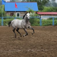 Гамбург. :: Александр Ломов