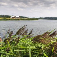 Шумел камыш, деревья гнулись ... :: Владимир Хиль